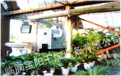 大棚、花卉供暖設(shè)備